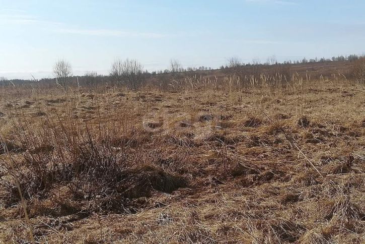 Земельный участок деревня Мальгино (сельское поселение Подлесное)