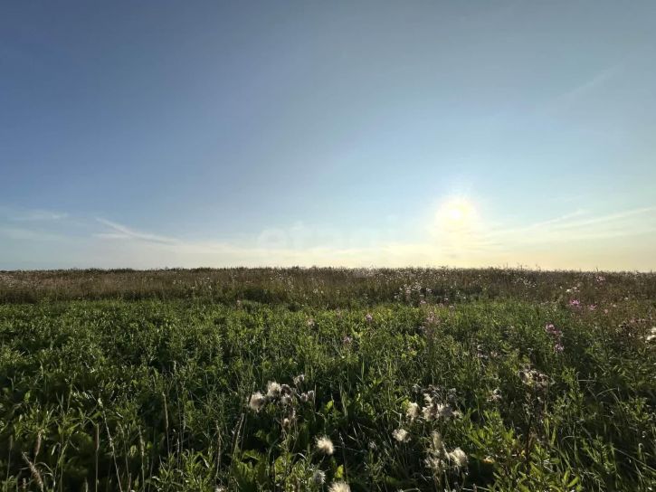 Земельный участок село Первомайское