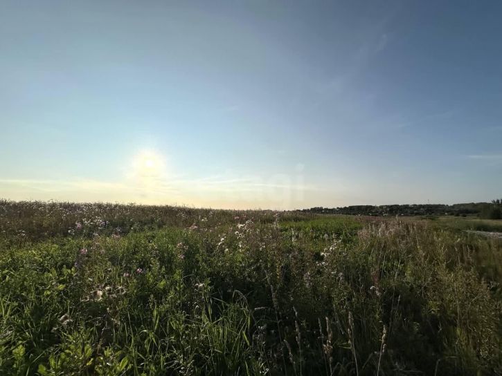Земельный участок село Первомайское