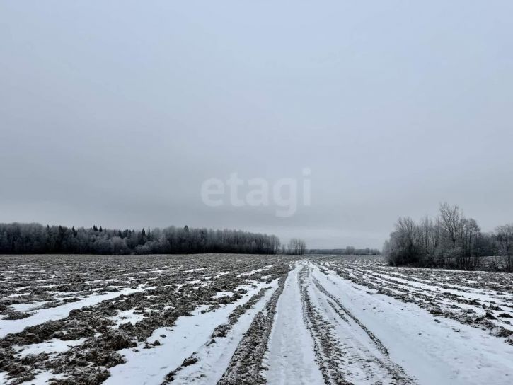 Земельный участок деревня Гридино (Перцевский сельсовет)