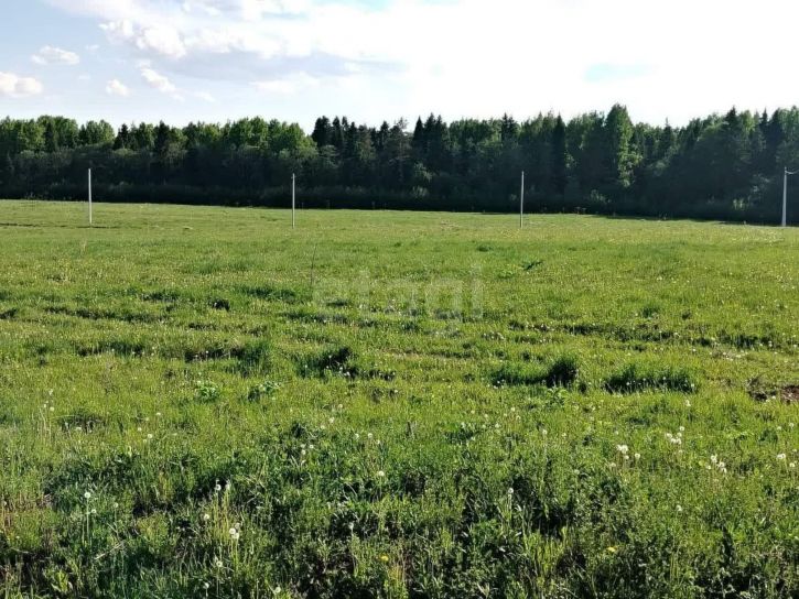 Земельный участок деревня Стризнево (Старосельский сельсовет)