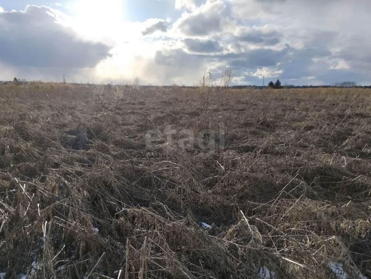 Земельный участок посёлок Заря