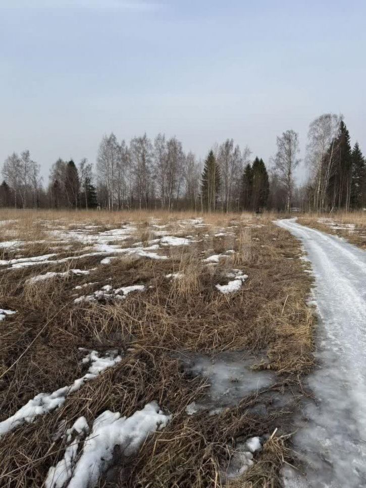 Земельный участок Прибрежная улица