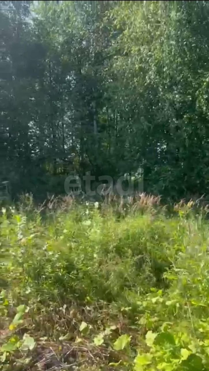 Земельный участок садоводческое товарищество Чайка