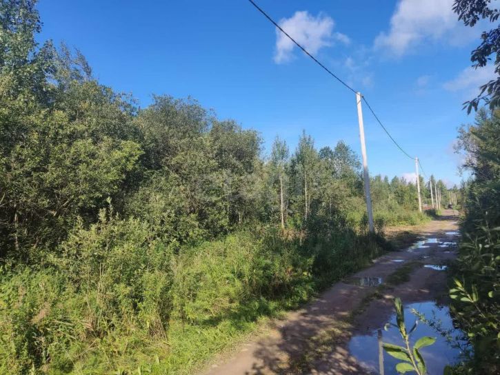 Земельный участок садоводческое товарищество Медик