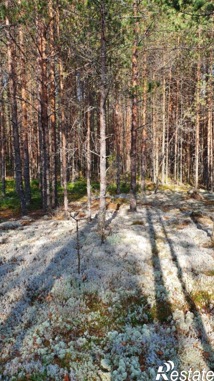 Коттедж/дом Устюженский район