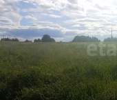 земля 15 сот село Кубенское