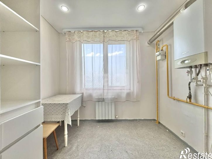 1-комн квартира деревня Литега, 52