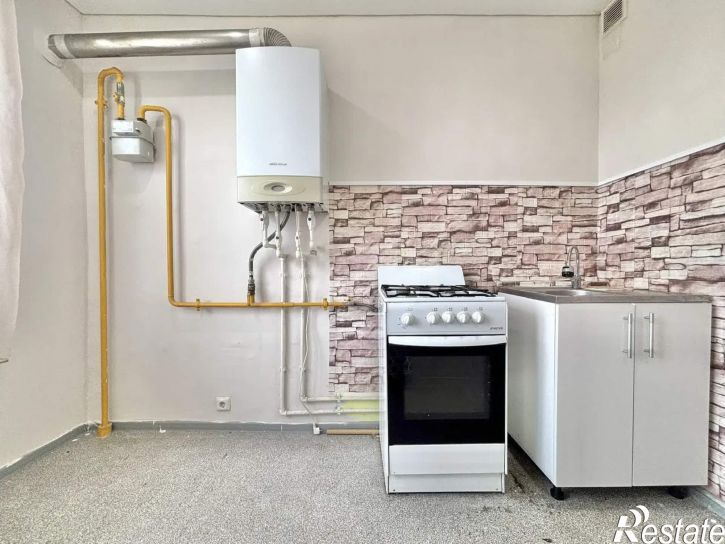 1-комн квартира деревня Литега, 52